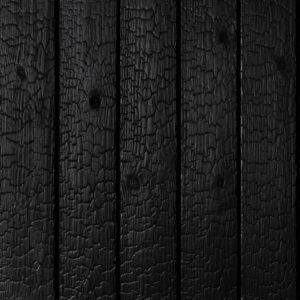 Dragonwood Carbon Eglė